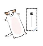 シロは今日も走る（個別スタンプ：9）