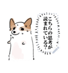 シロは今日も走る（個別スタンプ：10）