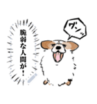 シロは今日も走る（個別スタンプ：12）