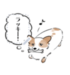 シロは今日も走る（個別スタンプ：13）