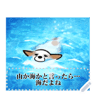 シロは今日も走る（個別スタンプ：14）