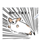 シロは今日も走る（個別スタンプ：16）