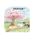 可愛すぎる！日本犬達のメッセージスタンプ（個別スタンプ：1）