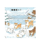 可愛すぎる！日本犬達のメッセージスタンプ（個別スタンプ：4）