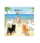 可愛すぎる！日本犬達のメッセージスタンプ（個別スタンプ：7）