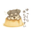 【敬語】使いやすいシュナウザースイーツ（個別スタンプ：20）