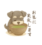 【敬語】使いやすいシュナウザースイーツ（個別スタンプ：24）