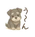 【敬語】使いやすいシュナウザースイーツ（個別スタンプ：39）