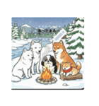 日本犬のゆるかわ日常メッセージスタンプ（個別スタンプ：4）