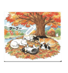 日本犬のゆるかわ日常メッセージスタンプ（個別スタンプ：13）