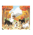 日本犬のゆるかわ日常メッセージスタンプ（個別スタンプ：15）