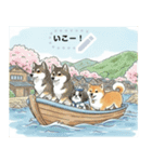 日本犬のゆるかわ日常メッセージスタンプ（個別スタンプ：17）