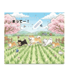 日本犬のゆるかわ日常メッセージスタンプ（個別スタンプ：19）