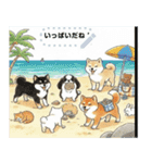 日本犬のゆるかわ日常メッセージスタンプ（個別スタンプ：21）