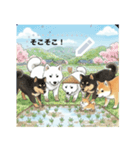日本犬のゆるかわ日常メッセージスタンプ（個別スタンプ：22）