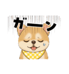 チワワ×ポメラニアンの毎日（個別スタンプ：3）