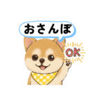 チワワ×ポメラニアンの毎日（個別スタンプ：4）