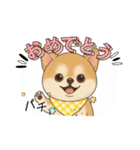 チワワ×ポメラニアンの毎日（個別スタンプ：5）