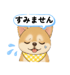 チワワ×ポメラニアンの毎日（個別スタンプ：6）