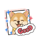 チワワ×ポメラニアンの毎日（個別スタンプ：8）