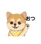 チワワ×ポメラニアンの毎日（個別スタンプ：9）