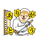 チワワ×ポメラニアンの毎日（個別スタンプ：10）