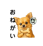 チワワ×ポメラニアンの毎日（個別スタンプ：14）