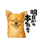 チワワ×ポメラニアンの毎日（個別スタンプ：17）