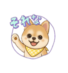 チワワ×ポメラニアンの毎日（個別スタンプ：20）