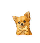 チワワ×ポメラニアンの毎日（個別スタンプ：21）