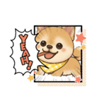 チワワ×ポメラニアンの毎日（個別スタンプ：22）