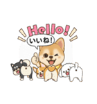 チワワ×ポメラニアンの毎日（個別スタンプ：23）
