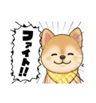 チワワ×ポメラニアンの毎日（個別スタンプ：24）