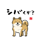 かわいい動物と魚と海の生き物スタンプ（個別スタンプ：13）