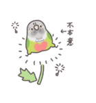 鳥さんに任しとけwithことりすまいる（個別スタンプ：6）