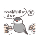 鳥さんに任しとけwithことりすまいる（個別スタンプ：32）