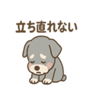 しんみりシュナの弱音ダイアリー（個別スタンプ：1）