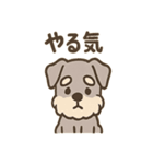 しんみりシュナの弱音ダイアリー（個別スタンプ：2）