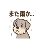 しんみりシュナの弱音ダイアリー（個別スタンプ：8）