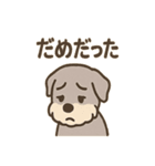 しんみりシュナの弱音ダイアリー（個別スタンプ：9）