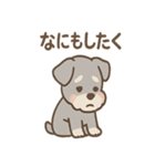 しんみりシュナの弱音ダイアリー（個別スタンプ：19）