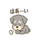 しんみりシュナの弱音ダイアリー（個別スタンプ：24）