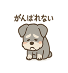 しんみりシュナの弱音ダイアリー（個別スタンプ：38）