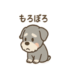 しんみりシュナの弱音ダイアリー（個別スタンプ：40）