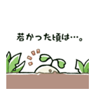 だいこんさんスタンプ 6本目（個別スタンプ：1）
