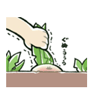 だいこんさんスタンプ 6本目（個別スタンプ：3）