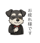 【敬語】執事シュナウザーの丁寧語セット（個別スタンプ：1）