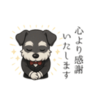 【敬語】執事シュナウザーの丁寧語セット（個別スタンプ：13）
