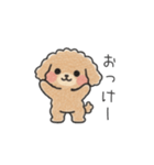 クレヨン画トイプー ブラウン（日常会話）（個別スタンプ：5）