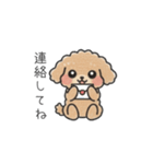 クレヨン画トイプー ブラウン（日常会話）（個別スタンプ：7）